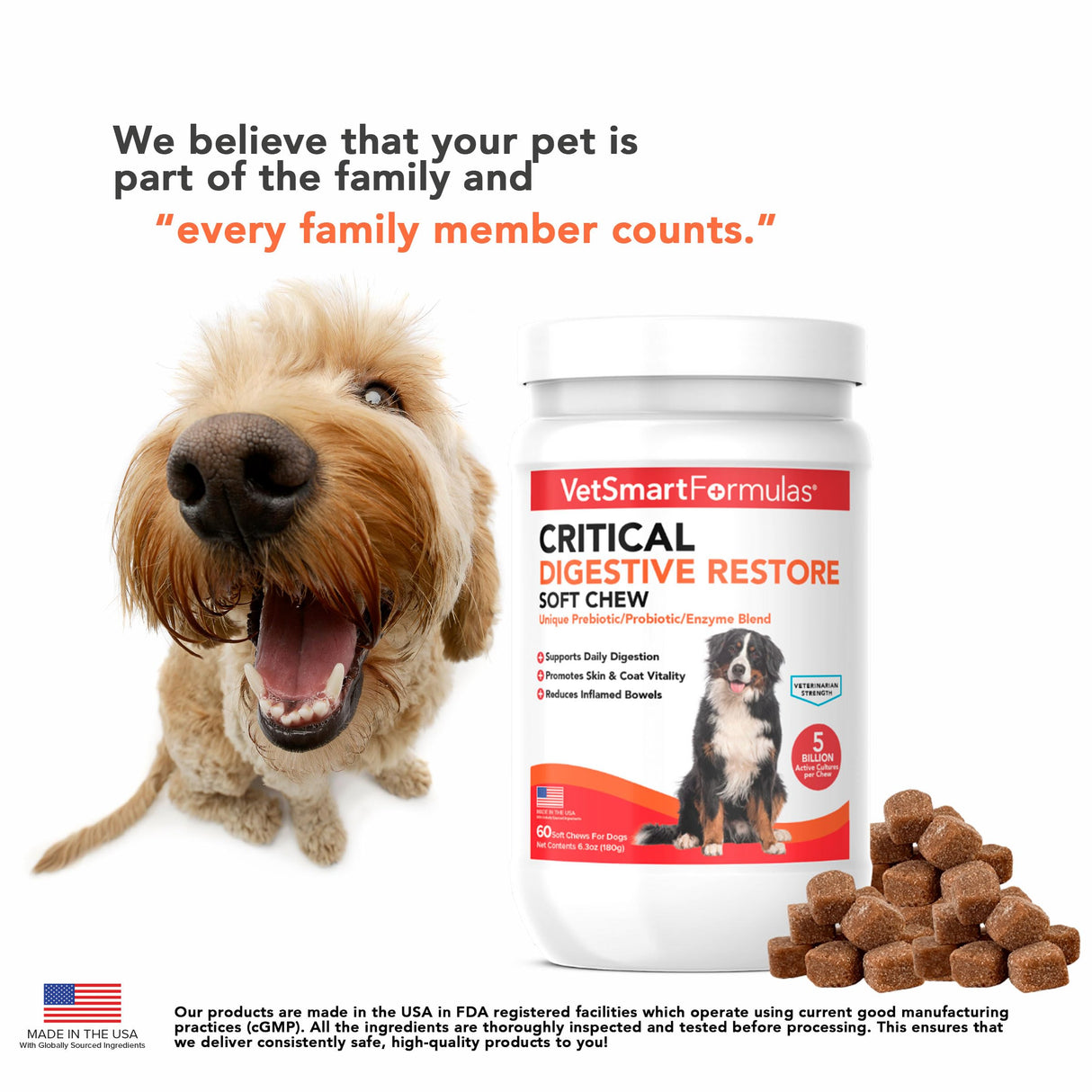 Critical Digestive Restore Soft Chews for Dogs - Veterinarian-Strength Probiotic Support for Optimal Health – with 10 Billion CFUs Per Dose