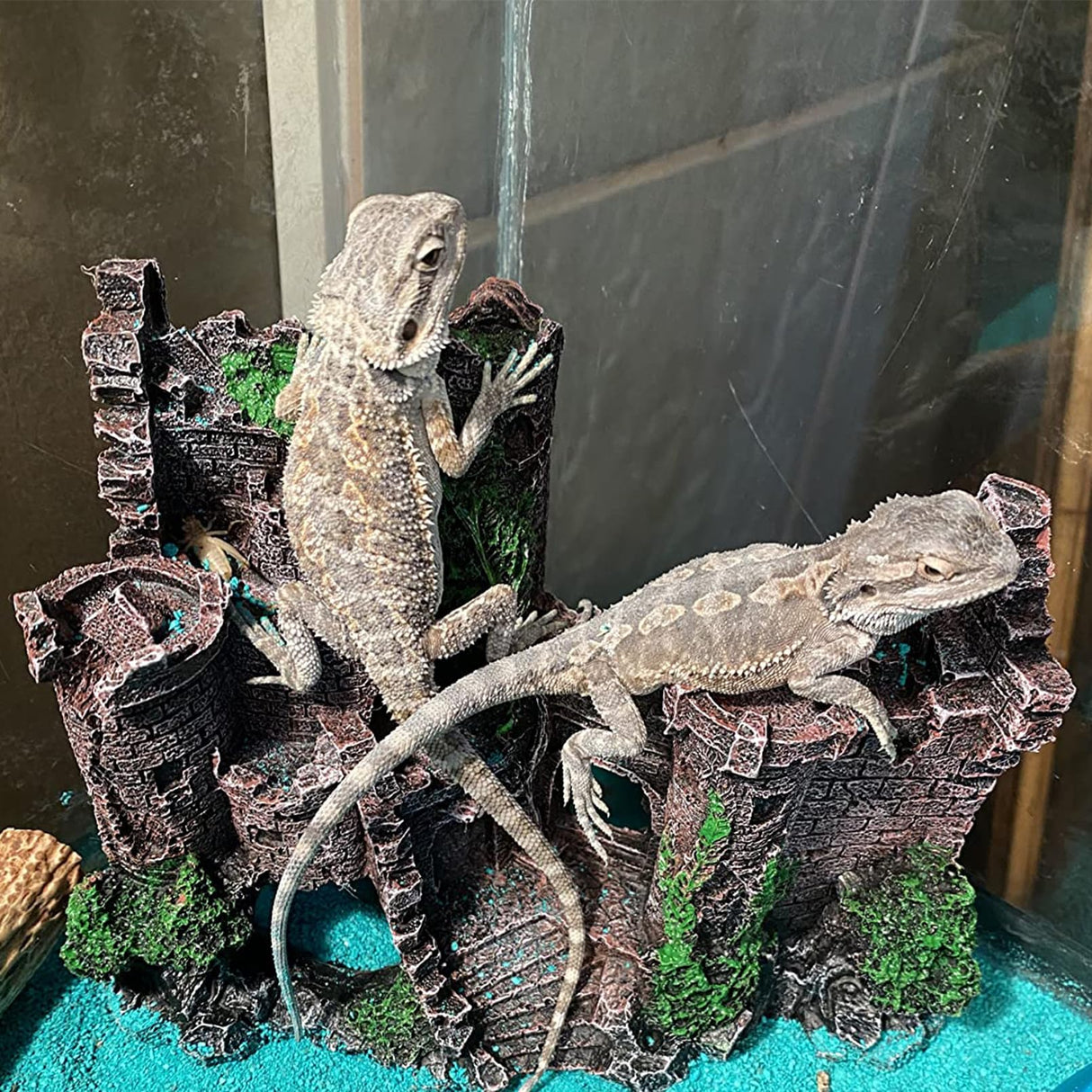MUYG Tank Accessories for Bearded Dragon Include Resin Classical Castle Reptile Hammocks Climb Habitat Hanging Jungle Vines Flexible Leaves Climbing Decor for Chameleon Lizard Gecko Spider(6 PCS)