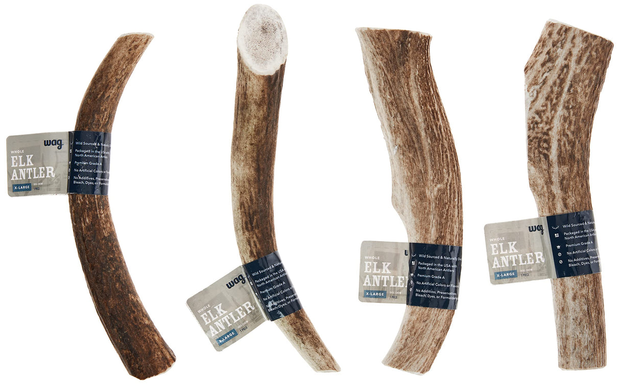 Wag Elk Antler - Whole - Long Lasting for Aggressive Chewers - X-Large 9.5-10.5 inches (Best for Dogs over 45 lbs)