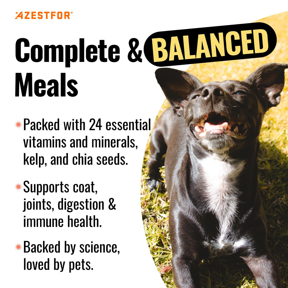 Azestfor Homemade Dog Food Vitamins Pre-Mix Powder – 24 Essential Nutrients – Supplement for Raw, Barf & Grain Free – for All Breeds & Ages – 16oz Veggie Flavored