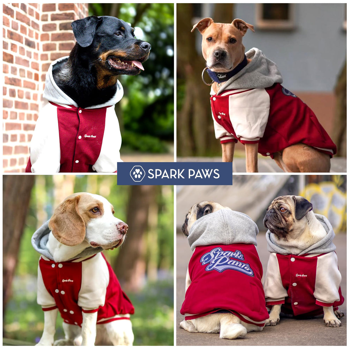 Spark Paws Varsity Dog Hoodie – Premium Dog Sweater for Small, Medium, and Large Dogs | Warm Clothes for Pets, Winter Jacket Alternative - Red - M