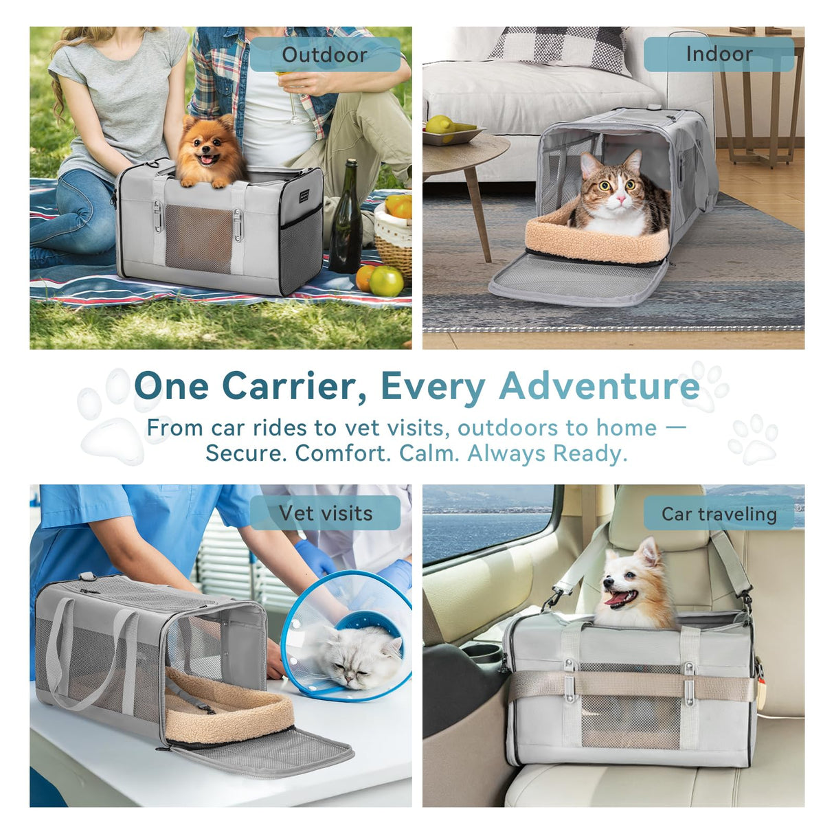 Petsfit Travel Pet Carrier for Large Cats (up to 20 lbs), Soft-Sided Dog Car Travel Carrier with Patented Buckle and Soft Padding, Ideal for Car Road Trips,19X12X12 Inch,Grey