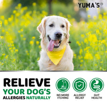 Load image into Gallery viewer, Dog Allergy Relief Chews - Dog Itching Skin Relief Treatment Pills - 170 Treats - Anti-Itch - Itchy and Paw Licking - Hot Spots - Omega 3 Fish Oil - Dry Skin & Coat Supplement - Beef Liver Flavor