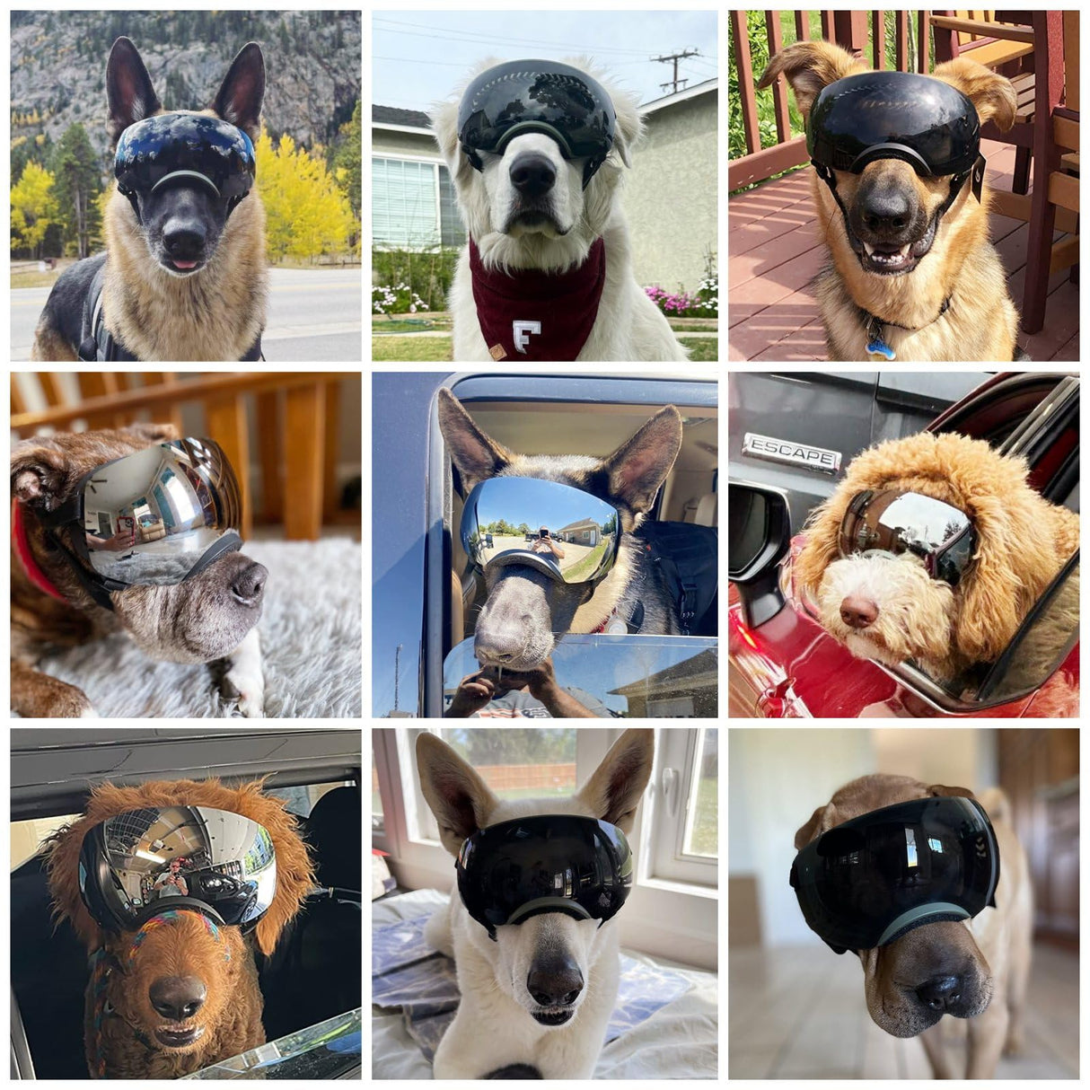 NAMSAN Dog Goggles for Large Dogs, Black/Silver Lenses Replaceable, Dog Sunglasses Medium to Large Breed, Anti-UV Doggie Eye Protection, Adjustable Driving Glasses, Windproof Dustproof, Black