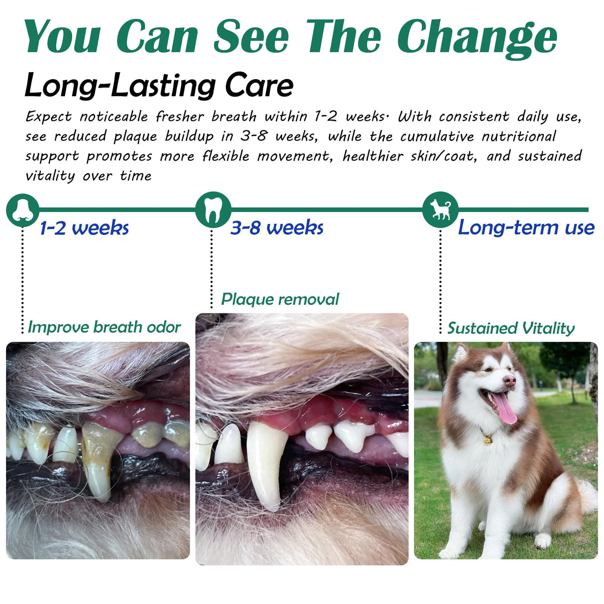 Senior Dog Dental & Supplement Powder - Contains Vitamin E, Glucosamine, Omega-3 and Probiotics - Effectively Removes Tartar Buildup, Supports Your Dog's Dental, Joint, and Digestive Health, 2.82 oz