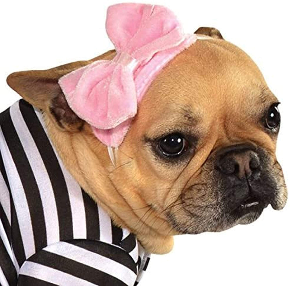 Rubies Fifties Girl Pet Costume for Dogs or Cats, XL