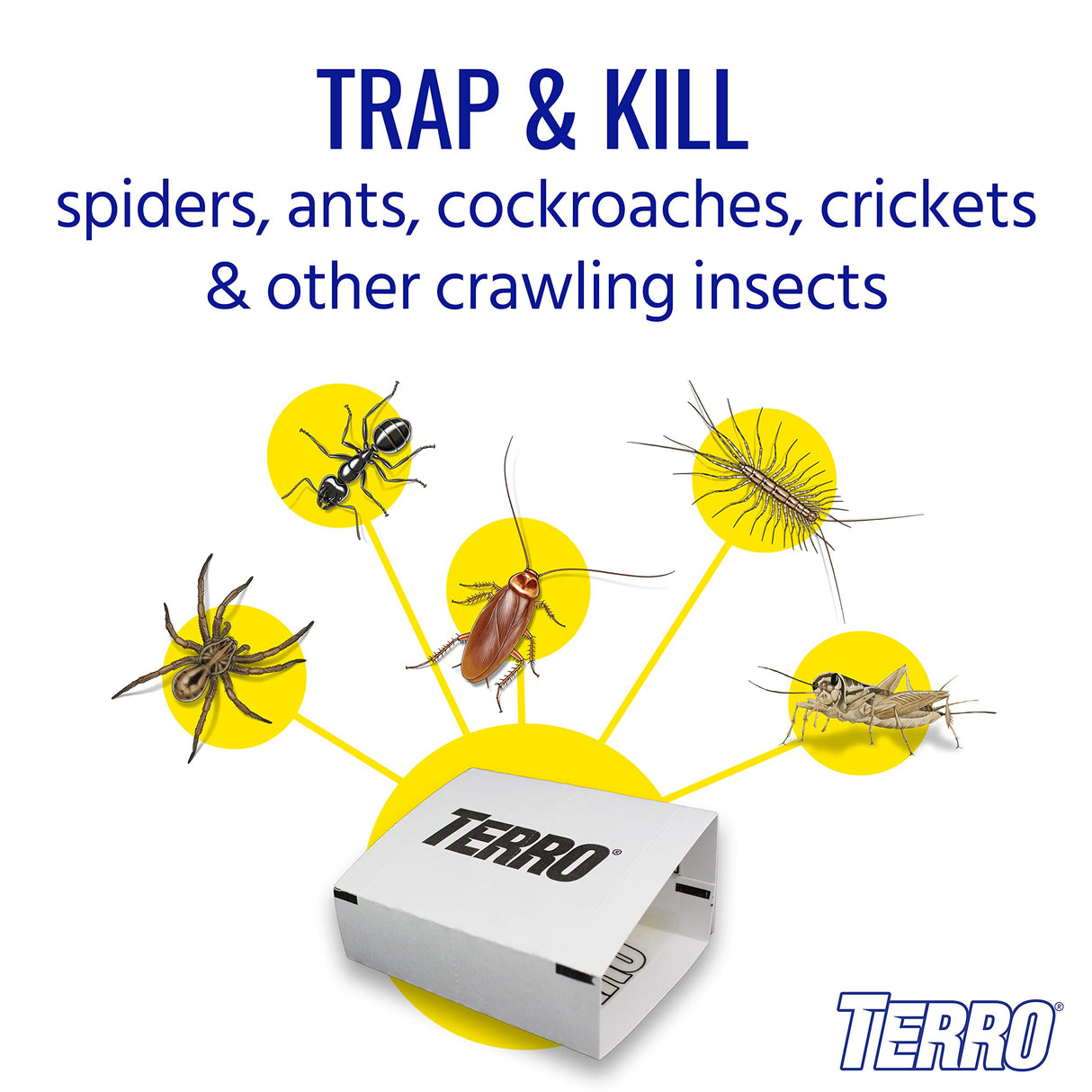 TERRO Spider & Insect Trap T3206 10-Pack Sticky Glue Traps for Roaches, Spiders, Ants, Cockroaches, Crickets - Indoor Bug Catcher Pest Control Traps, 4.25 in x 10 in