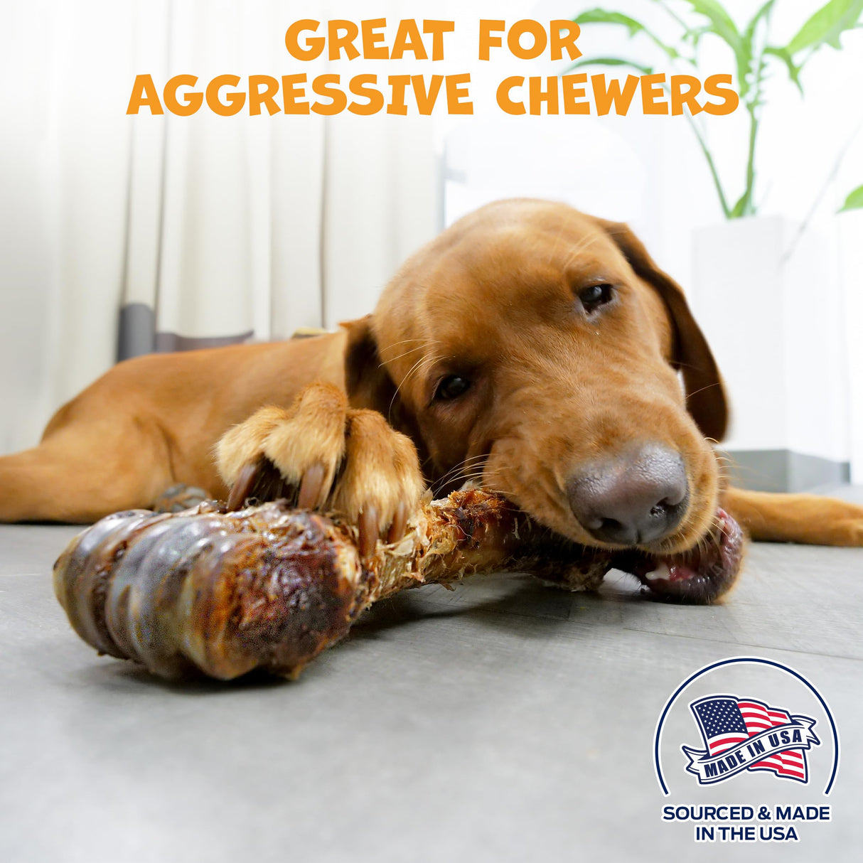 Pack Approved Beef Shin Bones for Dogs - Liver Coated Long Lasting Dog Chews for Aggressive Chewers - Rawhide-Free Big Bones for Large Dogs - Healthy Large Dog Bone (1 Pack)