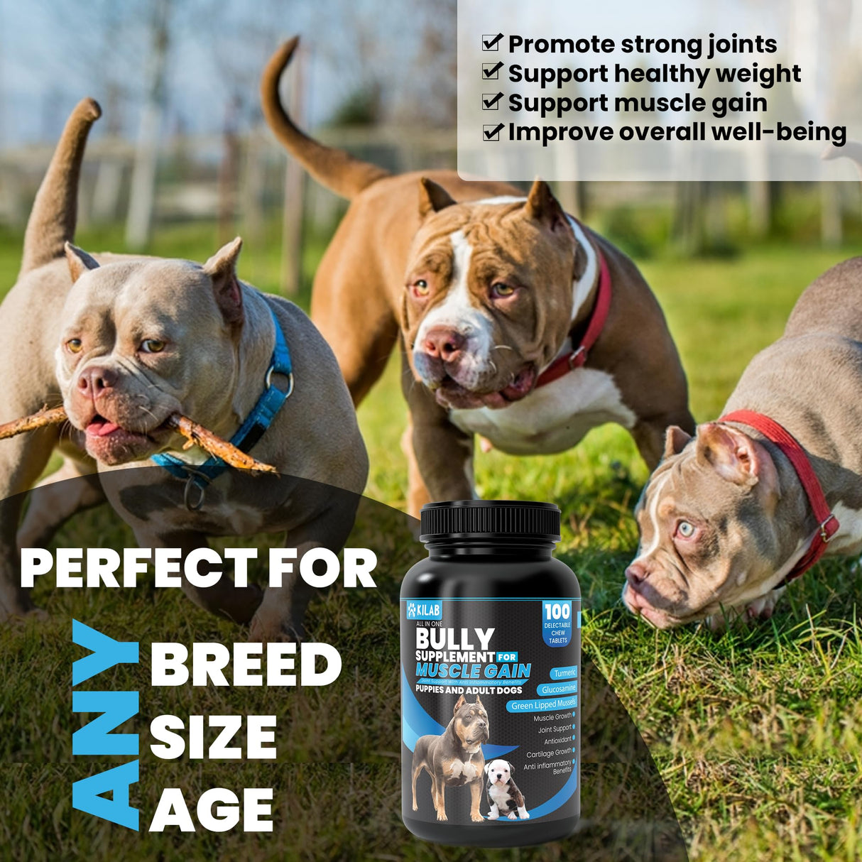 Kilab Dog Weight Gainer – 100-Count Muscle Builder Dog Supplement – Muscle Growth Supplement for Dogs, Puppies and Adults – Bully Growth Formula with Turmeric, Glucosamine, Green Lipped Mussels
