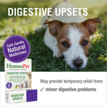Load image into Gallery viewer, HomeoPet Digestive Upsets, Safe, Gentle, and Natural Cat and Dog Digestive Support, 15 Milliliters