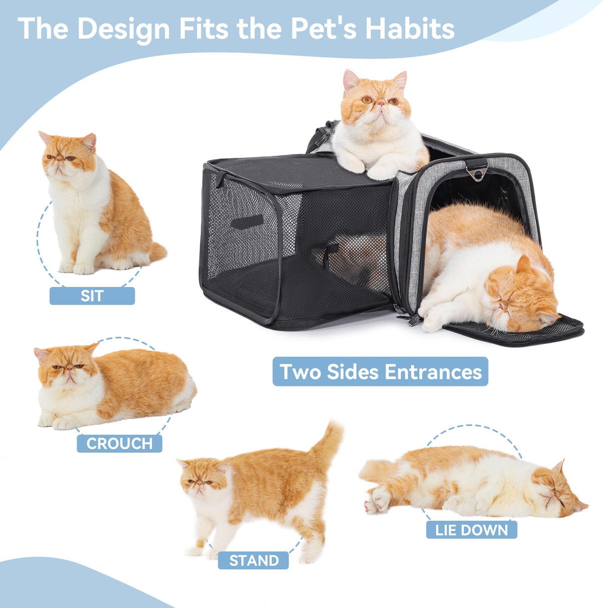 Petsfit 19"X12" X12" Expandable Pet Carrier, Square Expansion Reduces Pet Anxiety, Escape-Proof Self-Locking Zippers, 3 Easy-Access Entrances, for Cats & Small Dogs up to 18 lbs