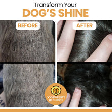 Load image into Gallery viewer, Omega 3 for Dogs - 180 Soft Chew Omega Treats for Skin and Coat - Fish Oil Blend of Essential Fatty Acids, Omega 3 and 6, Vitamins, Antioxidants and Minerals - Made in USA