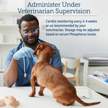 Load image into Gallery viewer, Rx Vitamins Phos-Bind - Kidney Support Supplement Powder - Phosphate Binder for Cats & Dogs for Kidney Health - Supports Normal Kidney Cleanse and Essential Kidney Care - 35g