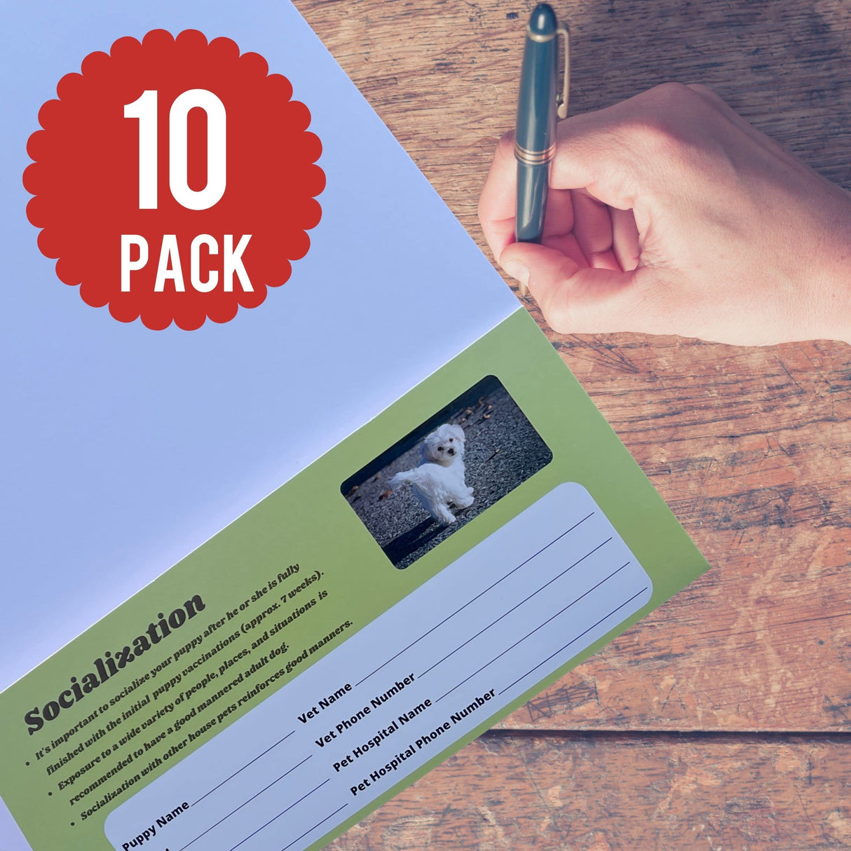 Groomers Margins Puppy Information Folders (10 Pack) - New Puppy Essentials and Dog Health Supplies for Breeders, Veterinarians, and Shelters - A Dog Owner Must Have