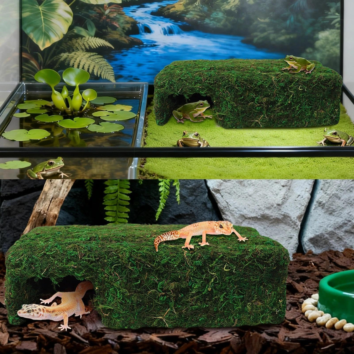 Hollima Mossy Cave Hide for Reptiles, Lizard Moss Hideout with Safe Shelter, Snake Cave Hut for Themed Terrarium Ideal for Gecko Hamster Snake to Rest & Hide