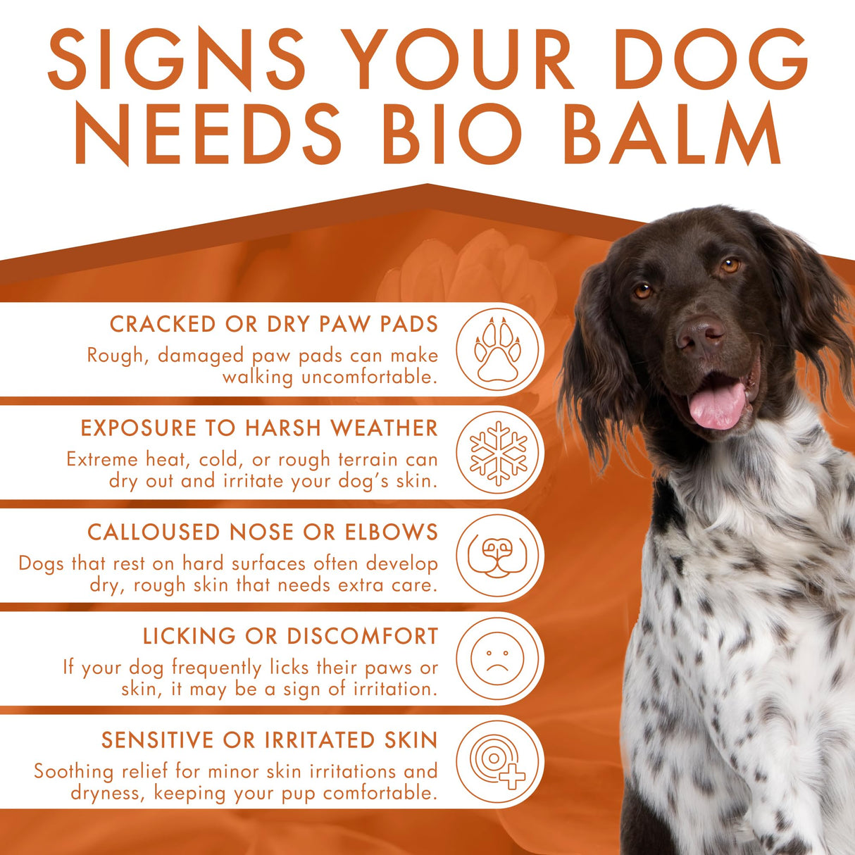 Dermoscent | Bio Balm | Natural, Organic, Healing Dog Paw Balm | Skin & Paw Soother For Dogs With Dry, Cracked, & Rough Paws | Veterinarian-Approved Paw Pad Moisturizer & Protector