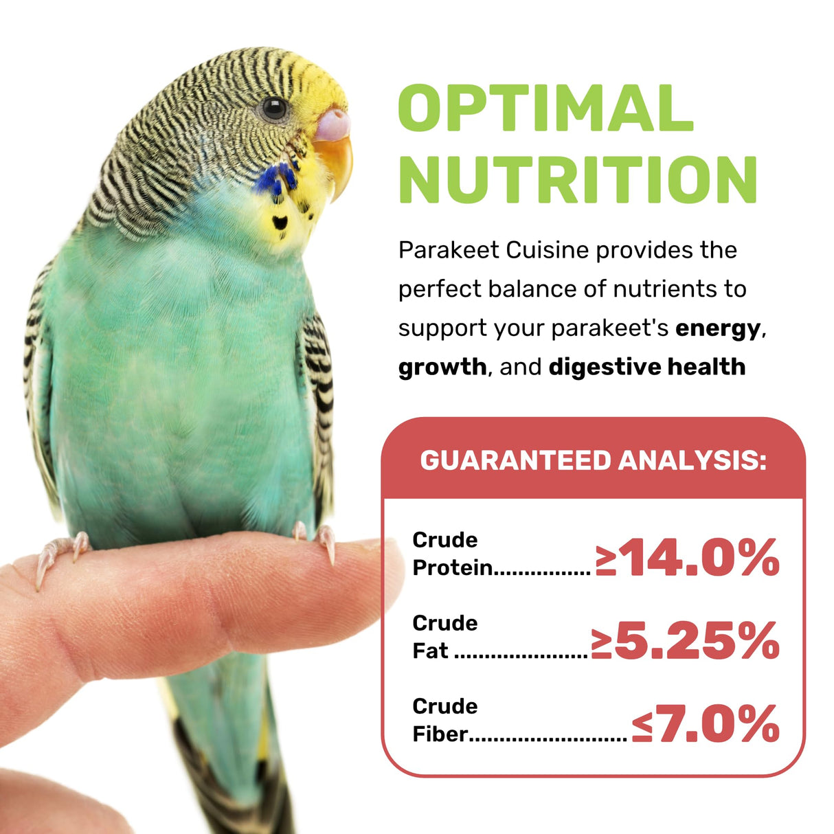 LEACH GRAIN & MILLING CO. Parakeet Cuisine Bird Food, 4 lb Bag Premium Parakeet Seed Mix with Grains, Millet, and Nutrients, Healthy Daily Diet for Parakeets, Budgies, Small Parrots & Pet Birds