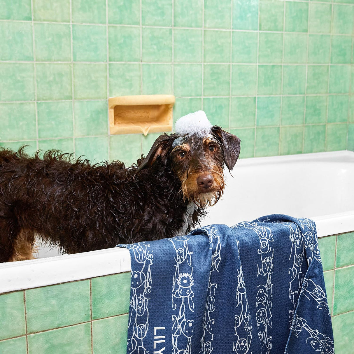 Dock & Bay Pet Towel - Super Absorbent & Quick Drying Dog Towels with Bag - 100% Recycled - Puppy Party, Medium (90x50cm, 35x19)