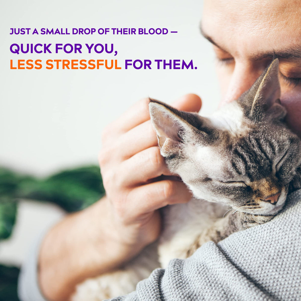 AlphaTrak 3, 8 Piece Pet Blood Glucose Monitoring Kit for Diabetic Cats, Dogs, and Horses All-in-One Solution for in-Clinic Or at Home, with Digital Results, Purple