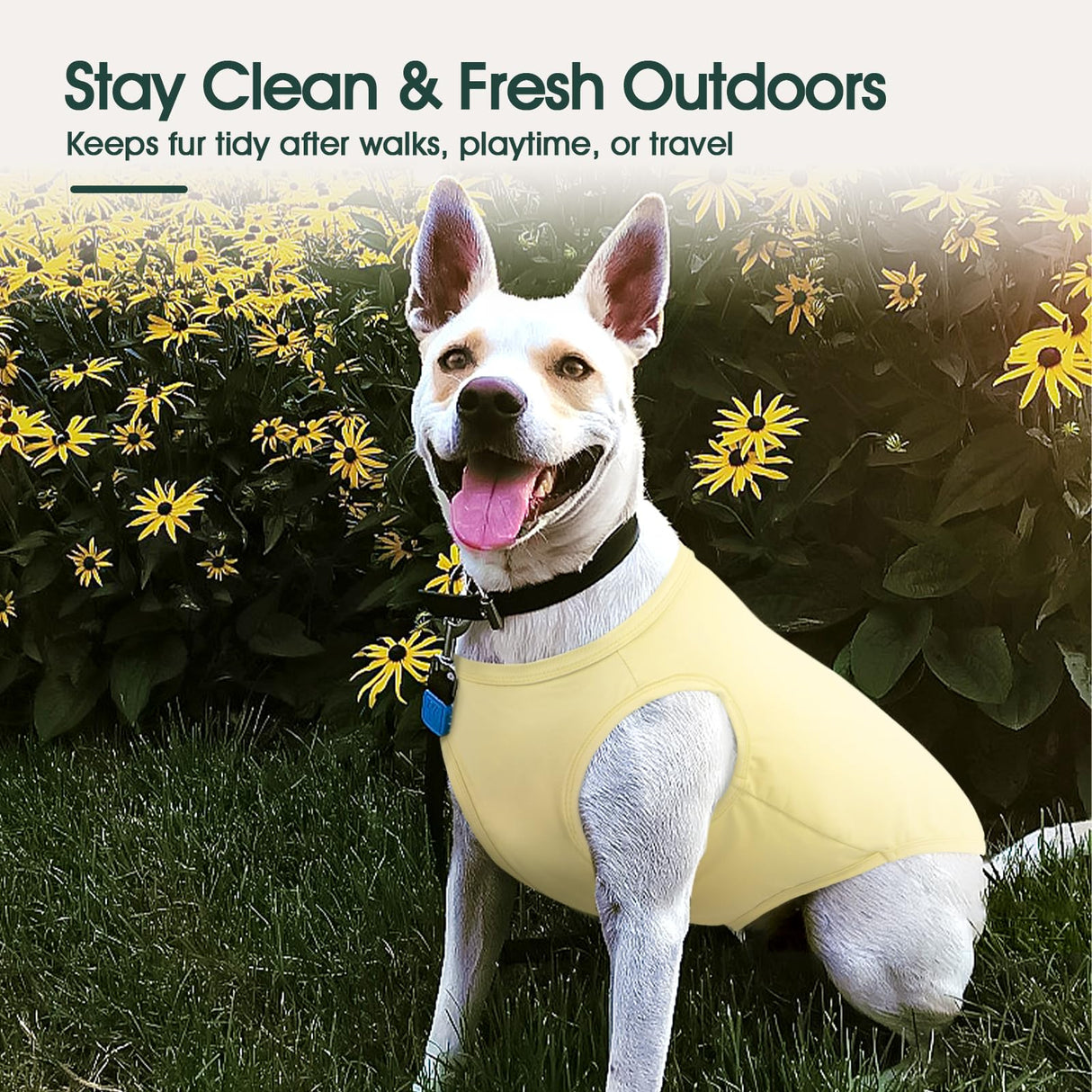 Kuoser 2 Pack Dog Shirts UPF 50+ UV Sun Protection, Lightweight Quick Dry Dog T Shirts for Small Medium Large Dogs, Breathable Pet Vest Dogs Tshirt Pet Clothes for Indoor Outdoor, Purple & Yellow S