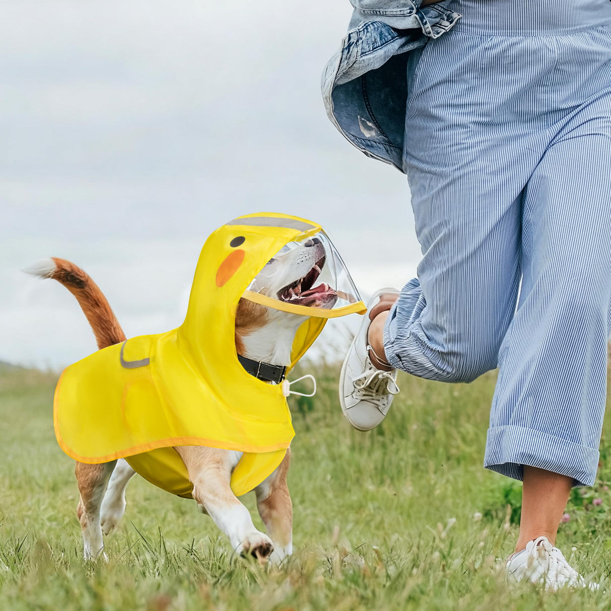Scheppend Dog Raincoat,Adjustable Waterproof Cloak Pet Hooded Raincoat Jacket,Cute Yellow Duck Poncho for Pet,M