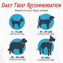 Load image into Gallery viewer, Farmland Traditions Filler Free Dogs Love Chicken Premium Jerky Treats for Dogs, 3 lb. Bag