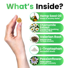 Load image into Gallery viewer, Grateful Pawz Hemp Calming Chews for Dogs - Dog Calming Chews - 170 Anxiety Relief Treats with Hemp Oil - Sleep Aid - Advanced Health Joint Support Supplement - Health & Wellness