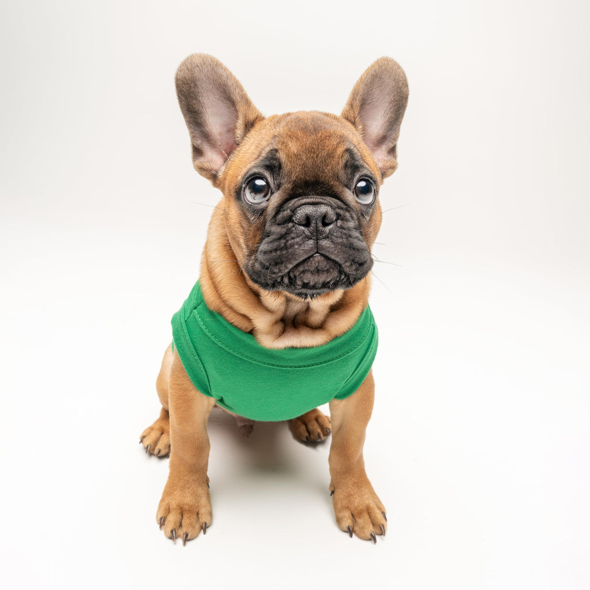 Happy Birthday Mom Dog Tee Shirt | Sleeveless | Pawty | Party Theme | Celebration Supplies | Photoshoot (Green, 5X-Large 168)