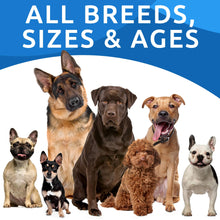 Load image into Gallery viewer, BARK&SPARK Dog Allergy Relief Chews (180 Immune Treats) - Anti-Itch Skin & Coat Supplement - Omega 3 Fish Oil - Itchy Skin Relief Treatment Pills - Itching&Paw Licking - Dry Skin & Hot Spots -Chicken