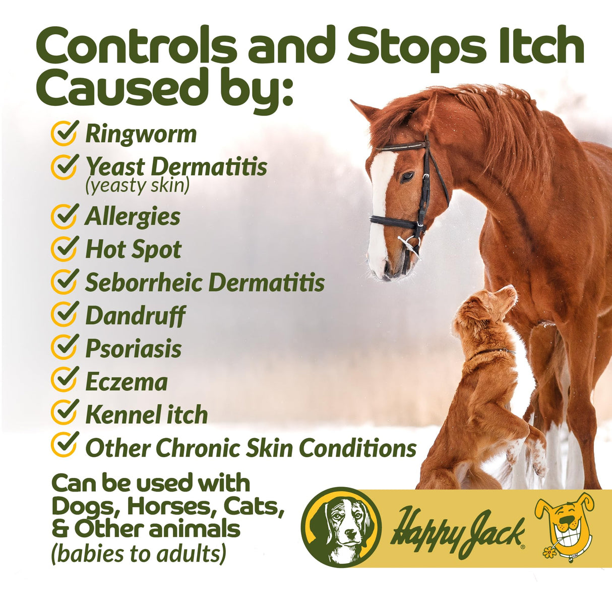 Happy Jack Xylecide, Itch Relief Shampoo for Dogs, Control Ringworms, Itchy Skin Treatment for Hot Spots, Seborrheic Dermatitis, Dandruff, Psoriasis, Eczema, Kennel Itch (12 oz)
