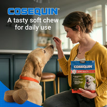 Load image into Gallery viewer, COSEQUIN Maximum Strength Joint Supplement Plus MSM & Omega-3's - With Glucosamine and Chondroitin - For Dogs of All Sizes (Soft Chews)