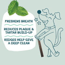 Load image into Gallery viewer, Shameless Pets Blueberry & Mint Dental Chews for Dogs, 32 Chews - Natural Dog Teeth Cleaning Treats with Fresh Breath Benefits | Grain-Free Dental Sticks for Small, Medium & Large Dogs