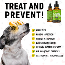 Load image into Gallery viewer, Dog Antibiotics for Infections, Cough, & Teeth Moments | Natural Antibiotics for Dogs with UTIs | Dog Allergy Relief & Canine Breath Treatment in 1 Bottle | Organic | 2 Oz
