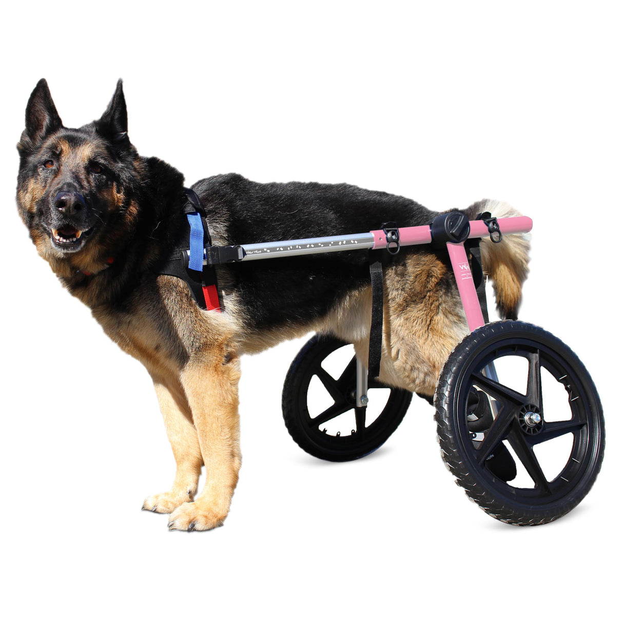 Walkin' Wheels Dog Wheelchair - for Large Dogs 70-180 Pounds - Veterinarian Approved - Dog Wheelchair for Back Legs
