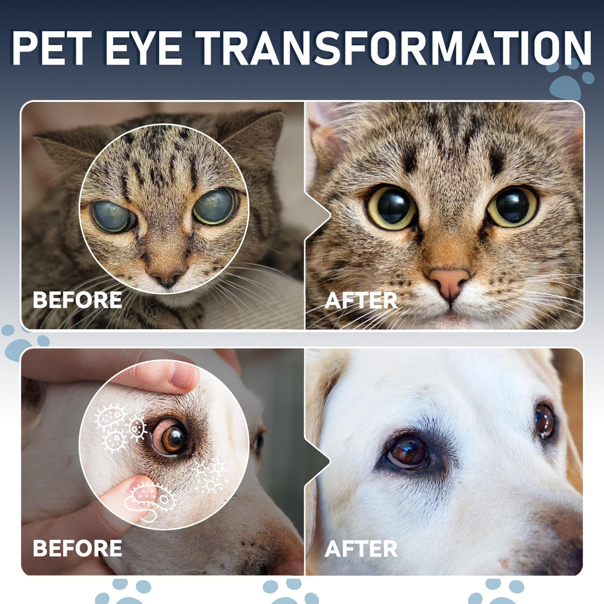 Dog & Cat Cataract Eye Drops & Infection Treatment β Vet-Recommended Formula for Cloudy, Itchy, Watery, Goopy Eyes and Pink Eye Treatment, Natural All-in-One Relief for Pet Eye Issues (2 X 10 ml)