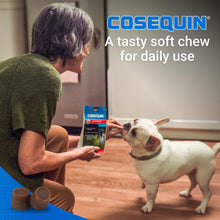 Load image into Gallery viewer, Cosequin Minis Soft Chews Maximum Strength with MSM Plus Omega3, 45 Count