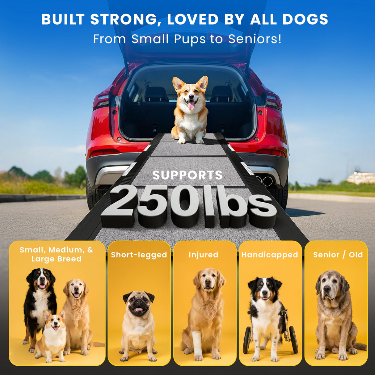 PATHOSIO PETS Portable Dog Ramp for Car – Foldable Dog Car Ramp for Truck, SUV, High Bed & Sofa with Anti-Slip Feet & Traction Carpet – Small to Large Breeds (71" Long & 17" Wide)