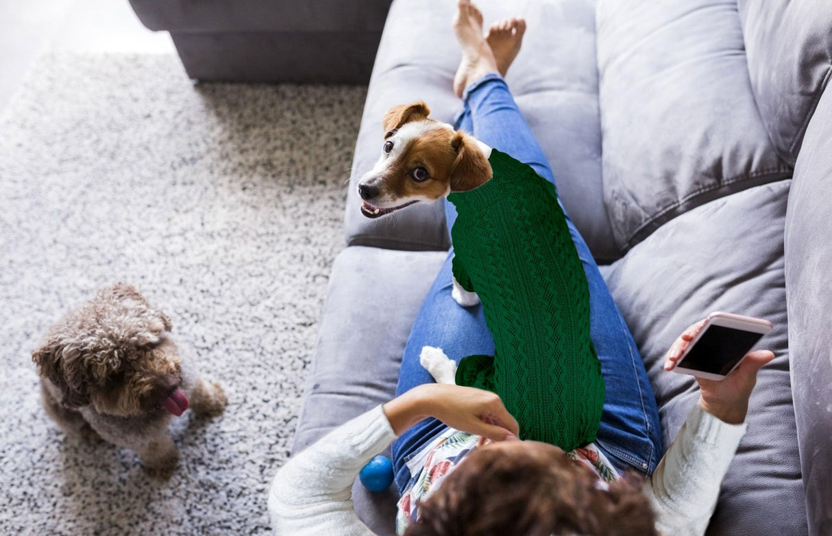 Dog Sweaters for Large Dogs Turtleneck Knitted Pet Clothes Solid Color Puppy Sweater Warm Dog Sweater(Green&XL)
