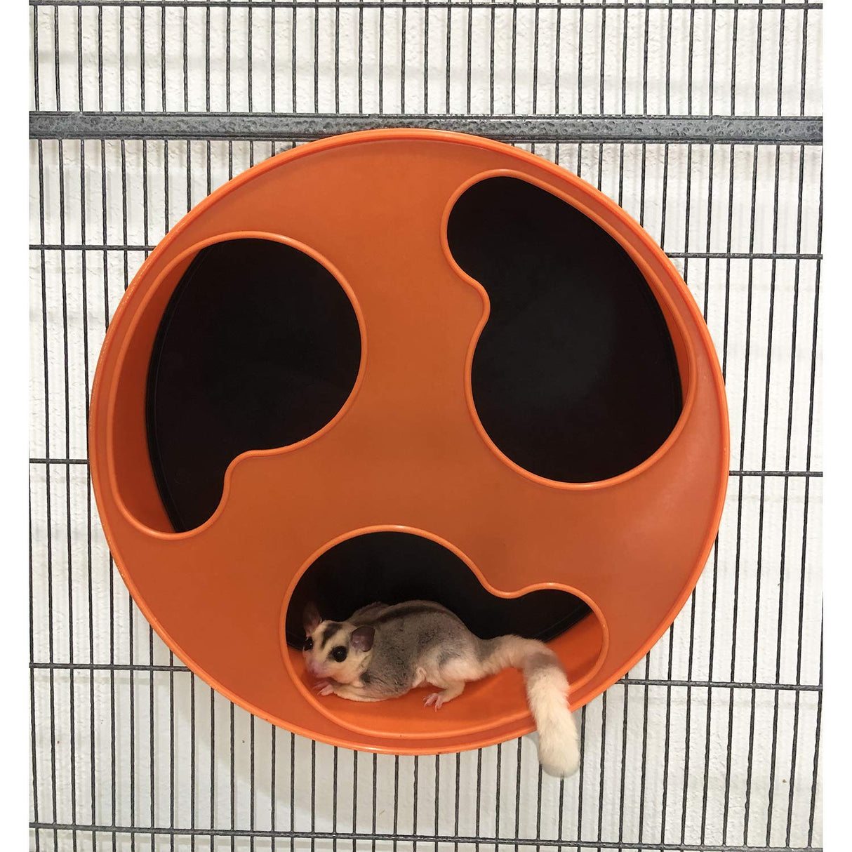 Silent Runner 12" Regular | Wheel + Cage Attachment | Sugar Gliders, Hamsters, Rats