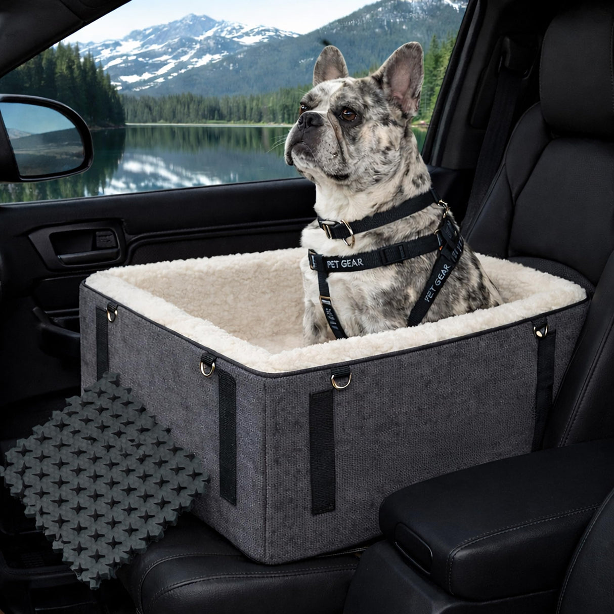 Pet Gear Lookout Booster Car Seat, Removable Comfort Pillow, Safety Tether Included, Installs in Seconds, No Tools Required, Medium Slate