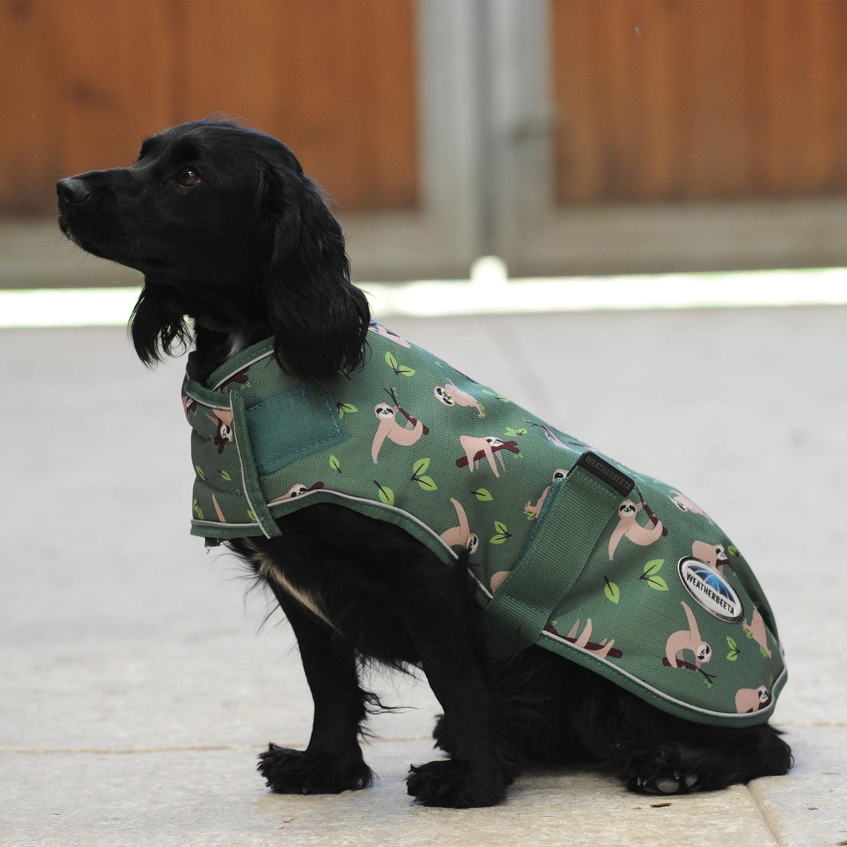 WeatherBeeta ComFiTec Premier Free Parka Dog Coat Medium, Sloth Print, 12"
