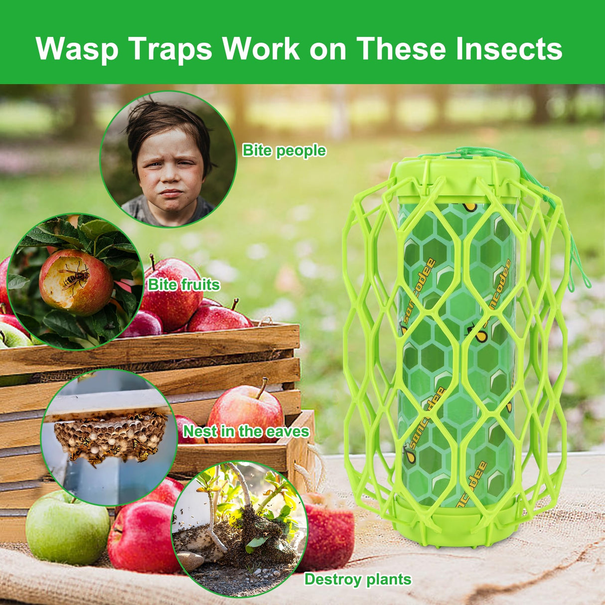 Sancodee 4 Pack Upgraded Wasp Trap Outdoor Hanging, Carpenter Bee and Hornet Catcher, Reusable Yellow Jacket Trap with Bait Reservoir, Bee Killer and Wasp Catcher for Outside (Green)