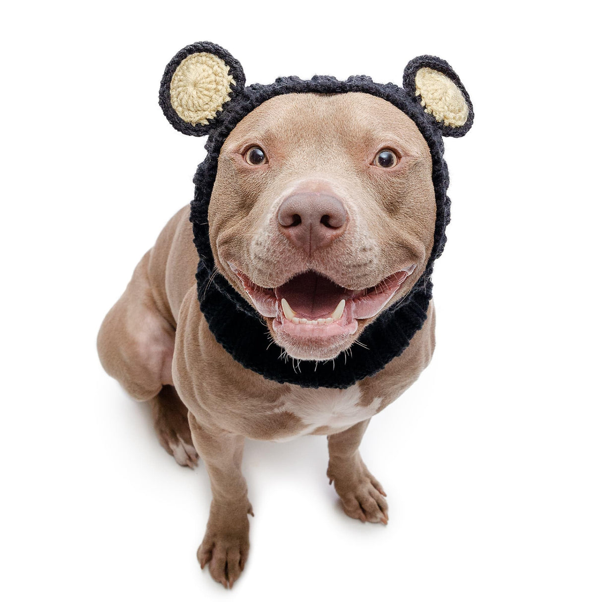 Zoo Snoods Black Bear Costume - Warm Knit Dog Snood Wrap for Pets, Neck Ear Cover Protection, Halloween Winter (Large)