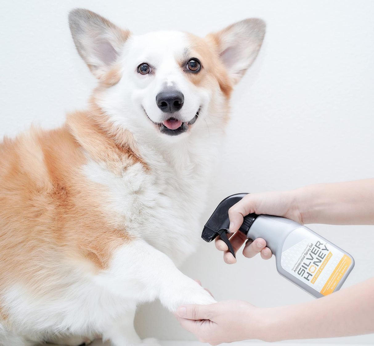 Absorbine Silver Honey Hot Spot & Wound Care Spray Gel for Dogs, Cats, Small Animals, 8oz Bottle