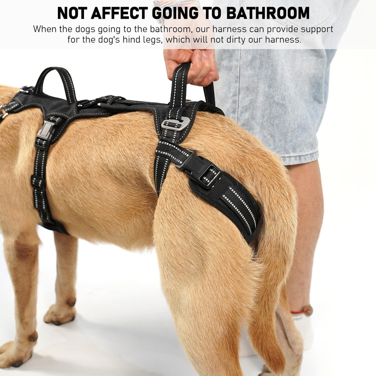 COODEO Mobility Dog Lift Harness, Support Sling & Walking Sling for Dogs, Pet Rear Leg Rehabilitation Support Vest, Dog Carrier for Senior Dogs with Joint Injuries, Arthritis, Up Stair (Black, XL)