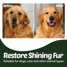 Load image into Gallery viewer, Petazy 400 Dog Wipes for Paws and Butt Ears Eyes | XL 8X8 Organic Pet Wipes for Dogs | Lavender Scent Dog Wipes Cleaning Deodorizing | Extra Thick Paw Wipes for Dogs Cats Pets | +4 Bonus Glove Wipes