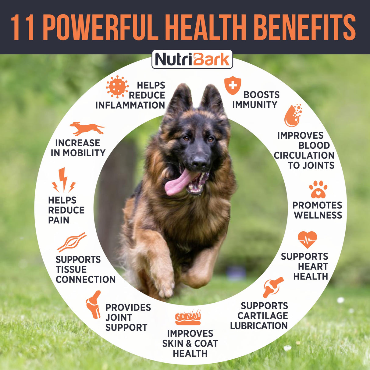 Glucosamine for Dogs -1000mg- Senior Dog Joint Supplement -Advanced Hip & Joint Support Chews w/Glucosamine, Chondroitin, MSM, Turmeric & Omega 3 for Pain & Inflammation Relief, Improved Mobility