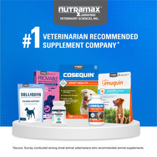 Load image into Gallery viewer, Nutramax Cosequin for Dogs Joint Health Supplement, Contains Glucosamine for Dogs, Plus Chondroitin, Supports Healthy Joints, Chewable Tablets, 132 Count