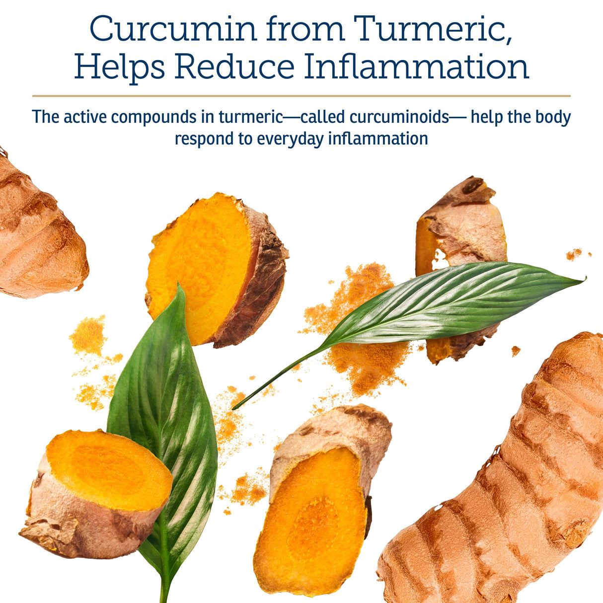 Rx Vitamins CurcuWIN - Curcumin for Dogs & Cats - Vitamins and Supplements, Allergy Relief - Provides Immune Support & Aids Digestive Support - Joint Supplement - 90ct