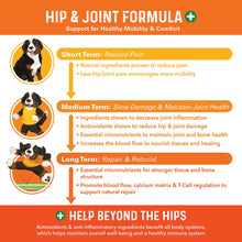 Load image into Gallery viewer, Bernie's Healthy Hips - Daily Dog Hip & Joint Supplement - 90 Soft Chews - Reduce Pain, Encourage Mobility, Slow Damage, Repair and Rebuild Hips & Joint Tissues